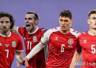 欧洲杯捷克队vs丹麦队预测:欧洲杯捷克队vs丹麦队预测比分