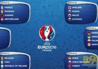 欧洲杯瑞士对爱尔兰预测:欧洲杯瑞士vs